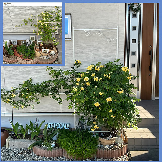 chiiyanさんの部屋