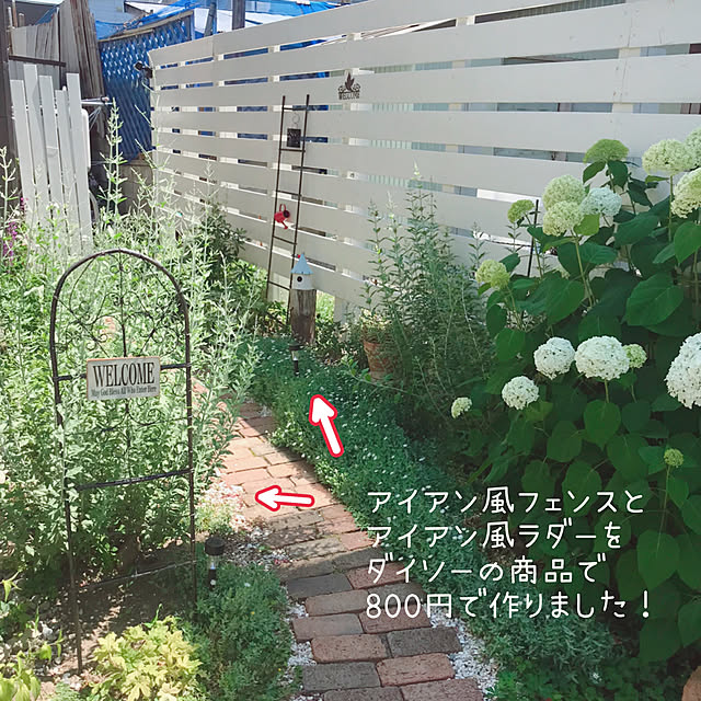kotoriさんの実例写真