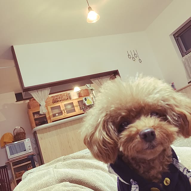 elelmotakeさんの実例写真