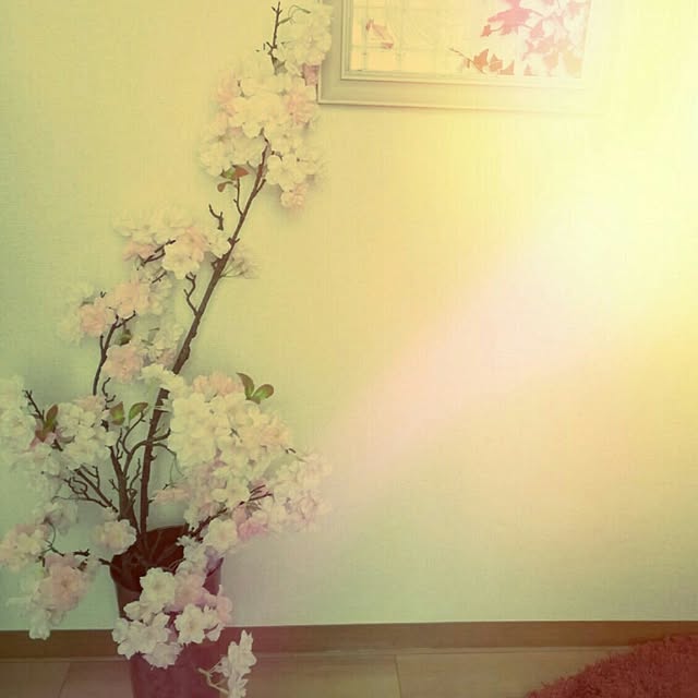 0c.c0さんの実例写真