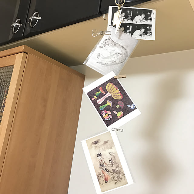 necocoさんの実例写真