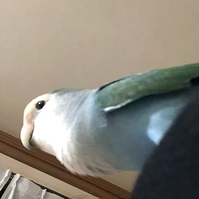 akさんの実例写真