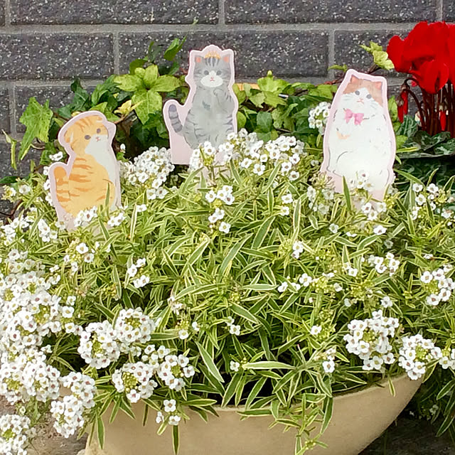takananaさんの実例写真