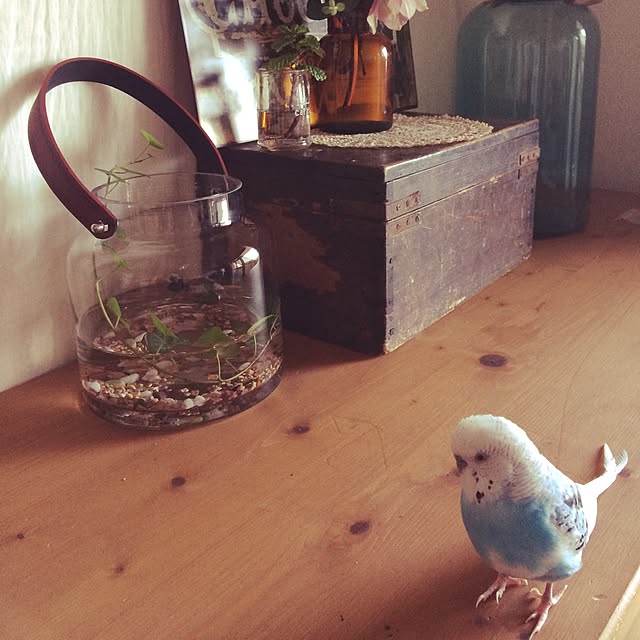 Yukikoさんの実例写真