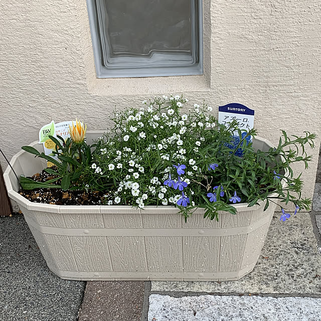 Y.Sさんの実例写真