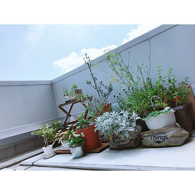 usssi0107さんの実例写真