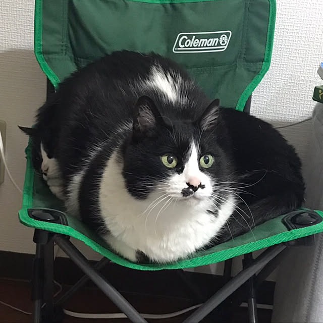 chirotanさんの実例写真