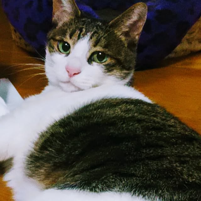 rinさんの実例写真