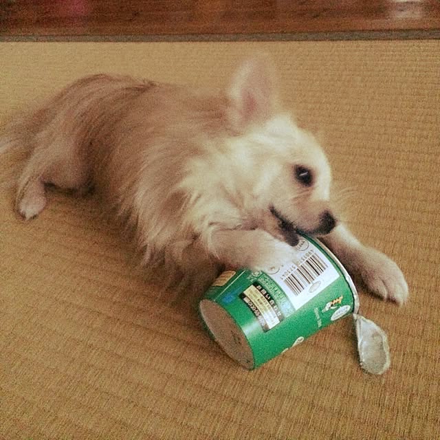 marigonさんの実例写真