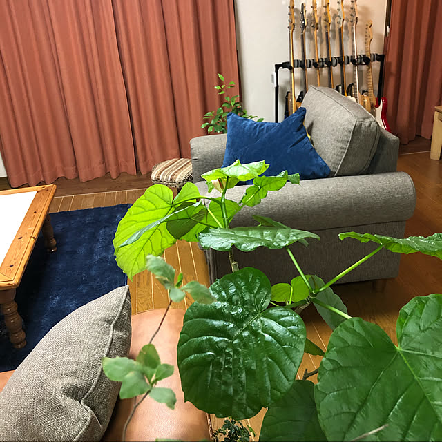 sabakoさんの実例写真