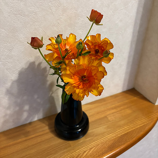 teraさんの実例写真