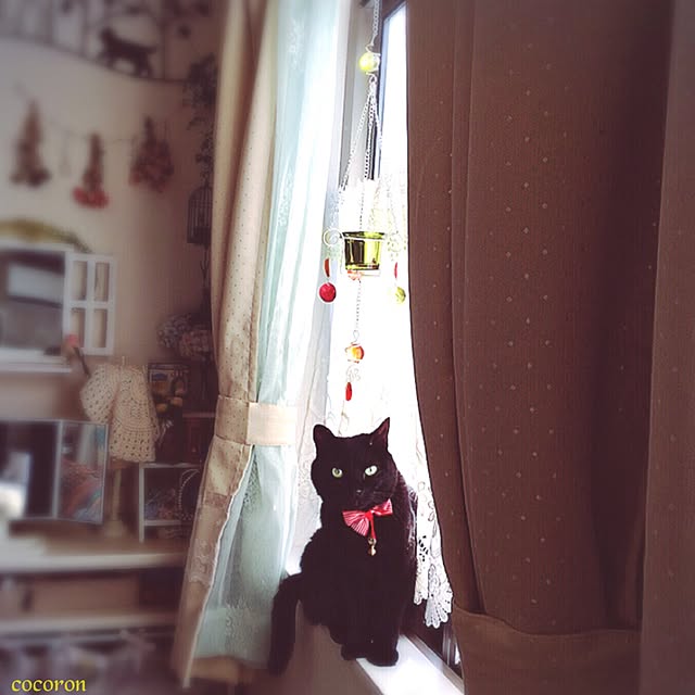 cocoronさんの実例写真