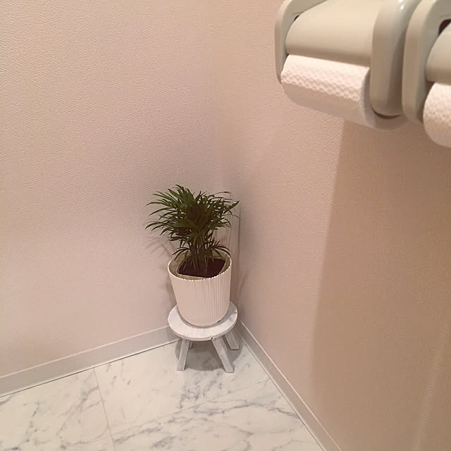 noji521さんの実例写真