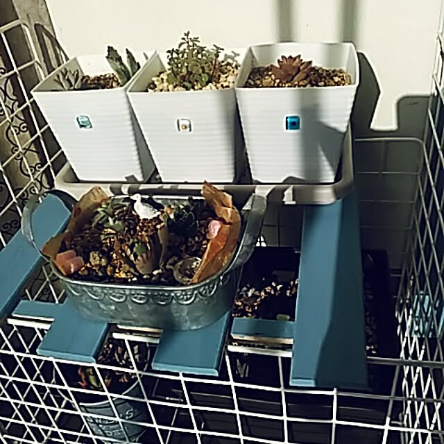 amariさんの実例写真