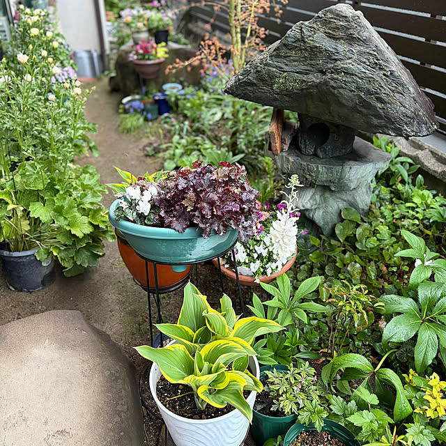 buchiさんの部屋