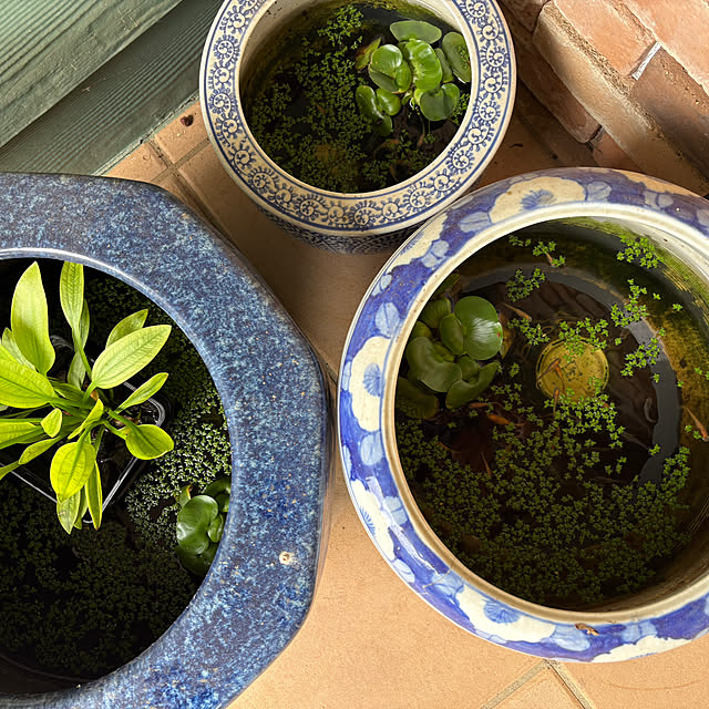 nana77さんの部屋