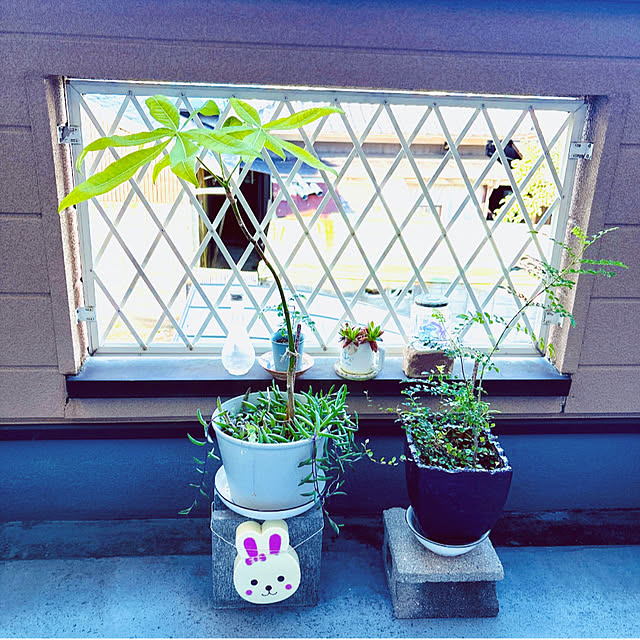 takakoさんの部屋