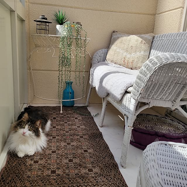 neoさんの実例写真