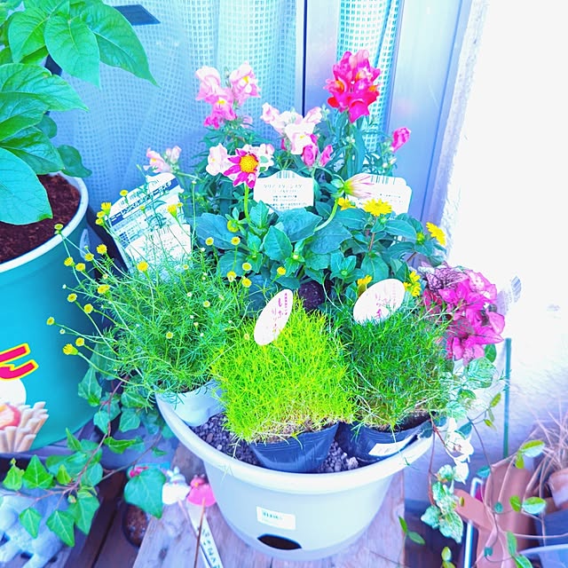 mariaさんの部屋