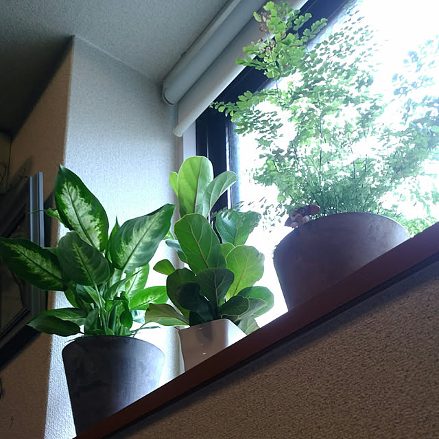 todaysさんの実例写真
