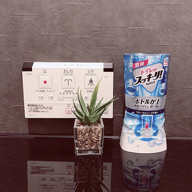 remapさんの実例写真