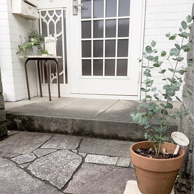 rookuさんの実例写真