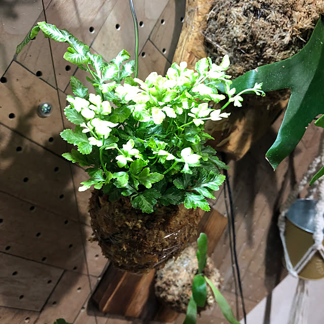 CoffeeHouseさんの部屋