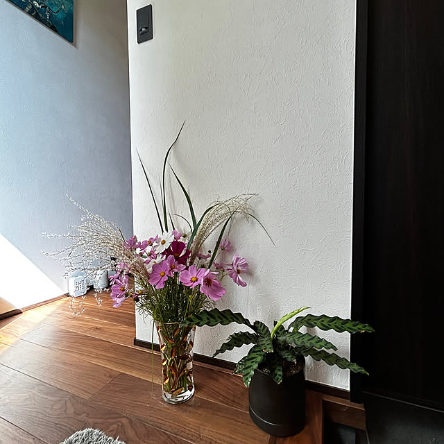 porinさんの部屋