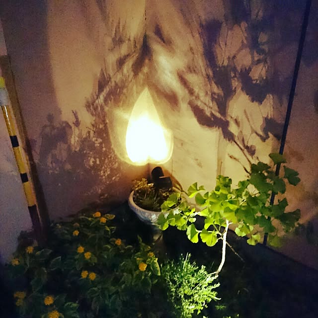 uchizukonyanさんの実例写真