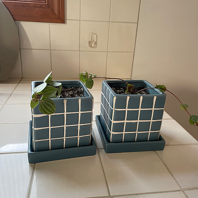 souhyuさんの実例写真