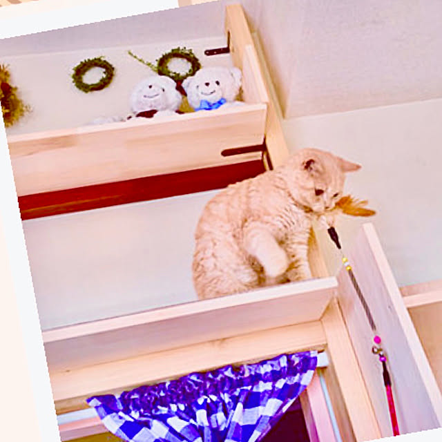 naokoさんの実例写真
