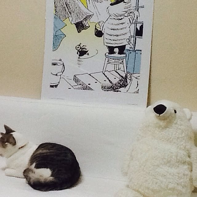 Mikaさんの実例写真