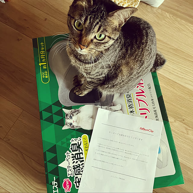 masamasaさんの実例写真