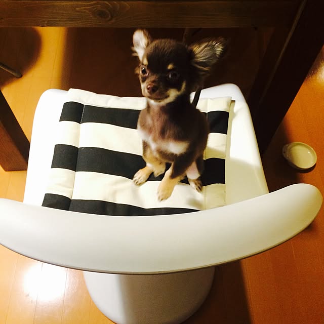 takaさんの実例写真