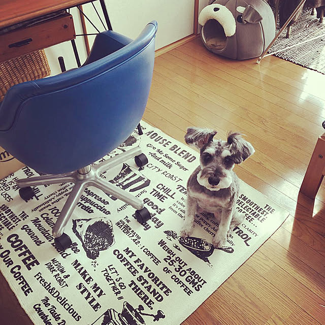 tamaharuさんの実例写真