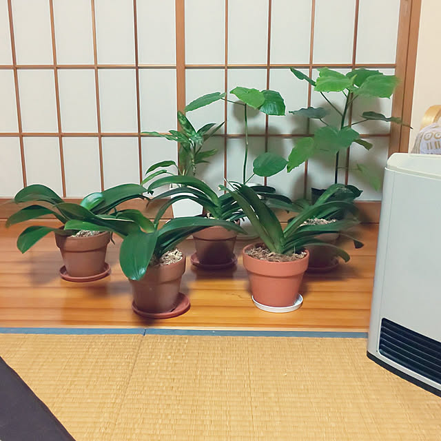 yumiyumiさんの実例写真