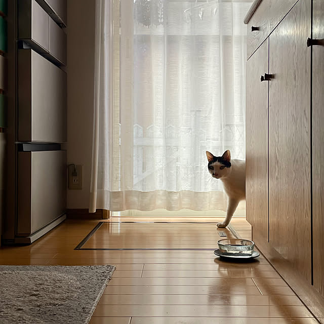 nobikoさんの部屋