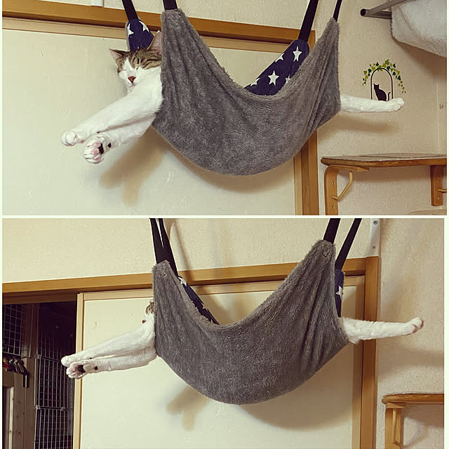 Lufuさんの実例写真