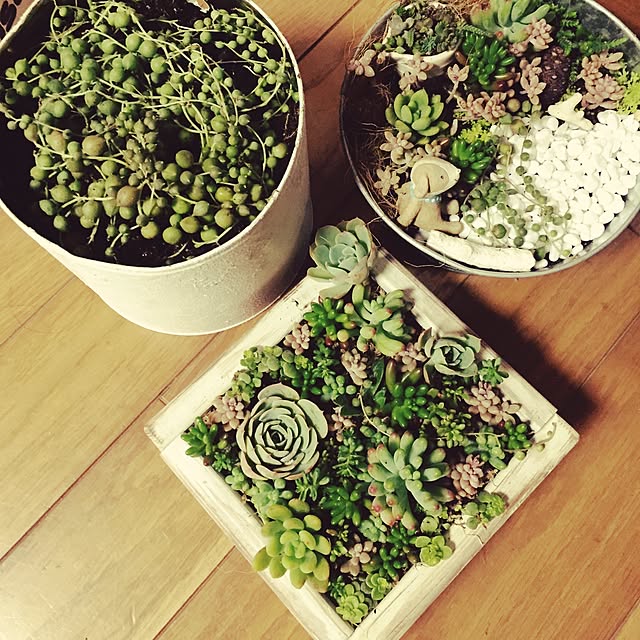 springさんの実例写真