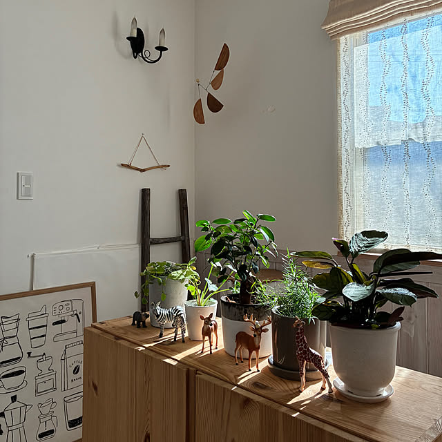 comiriさんの実例写真