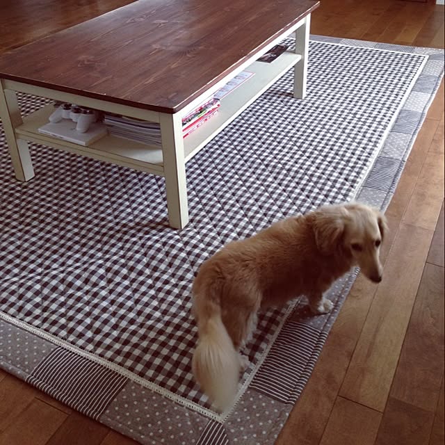 R.yukaさんの実例写真