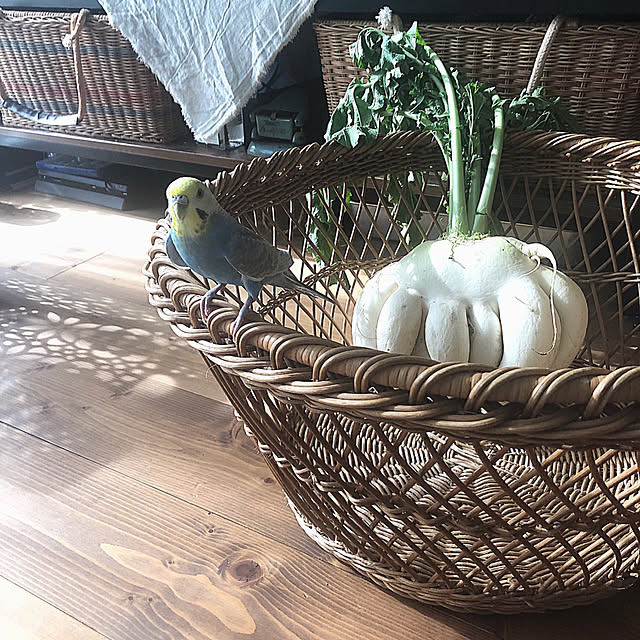 ponponHOUSEさんの実例写真