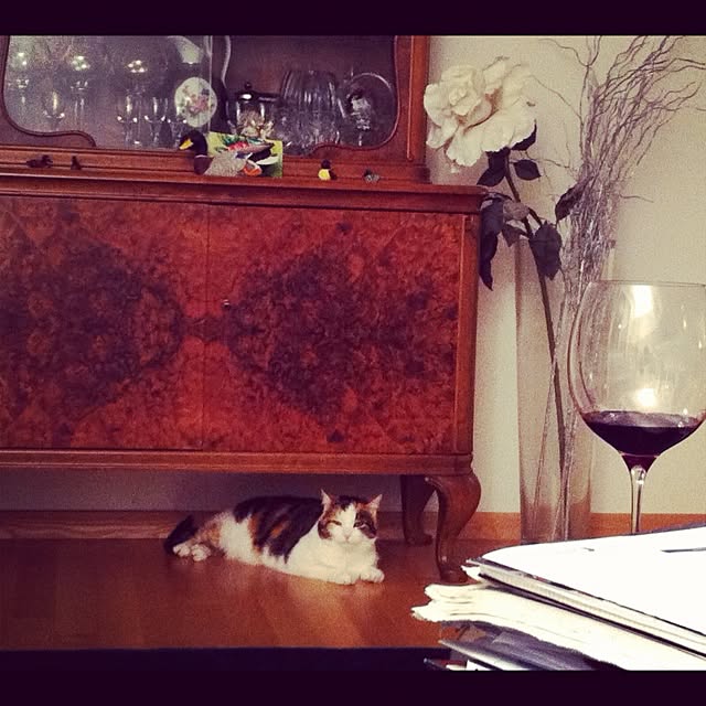 実例写真