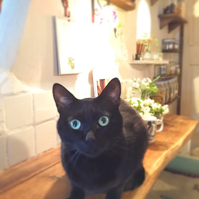 rosemaryさんの実例写真
