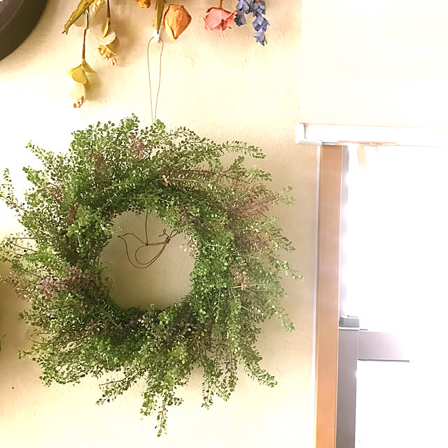 portulacaさんの実例写真