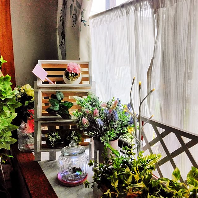 dreamerさんの実例写真