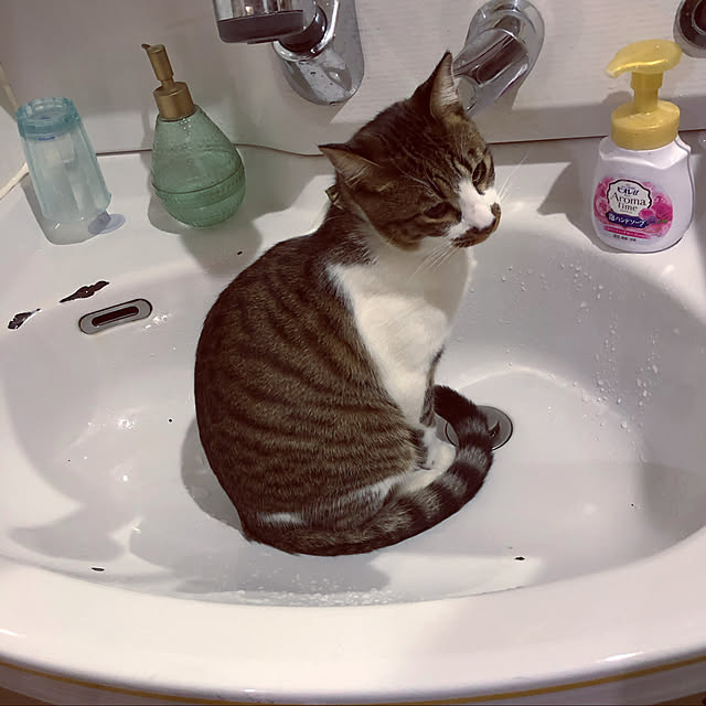 jijiさんの実例写真