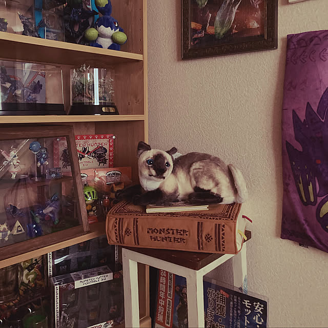 burachichiさんの実例写真