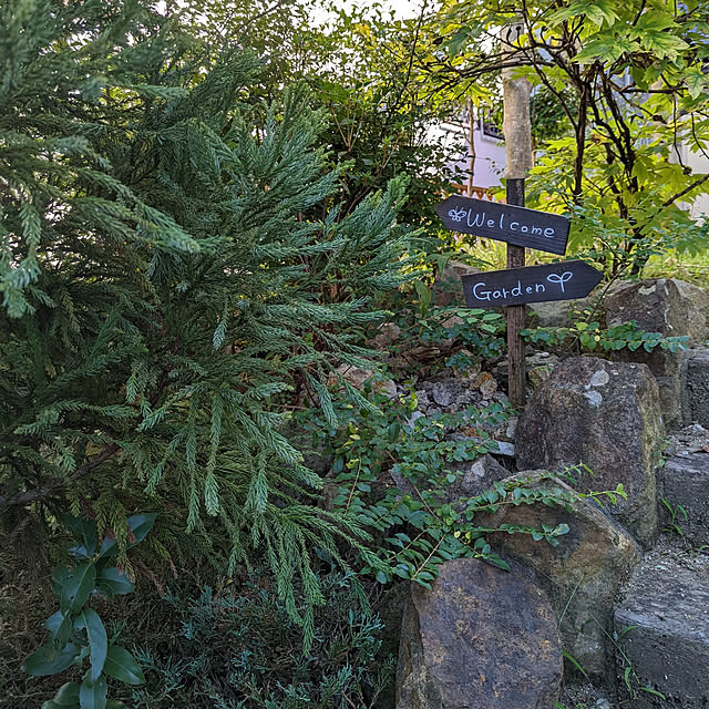 dadaさんの実例写真
