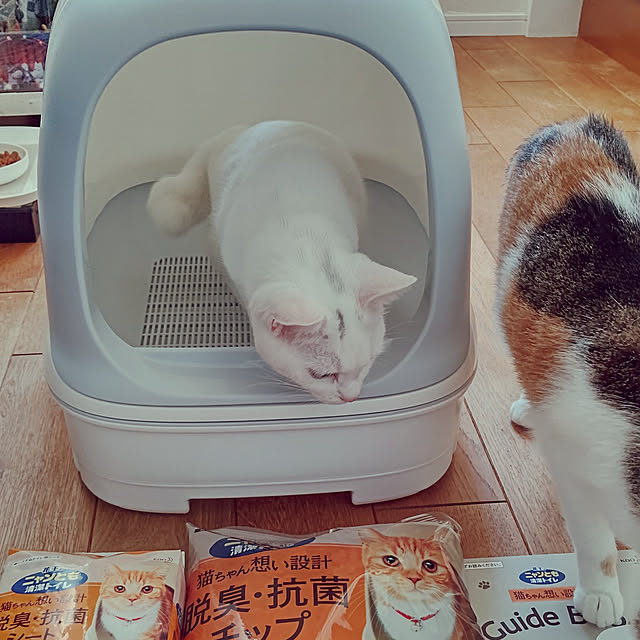 実例写真